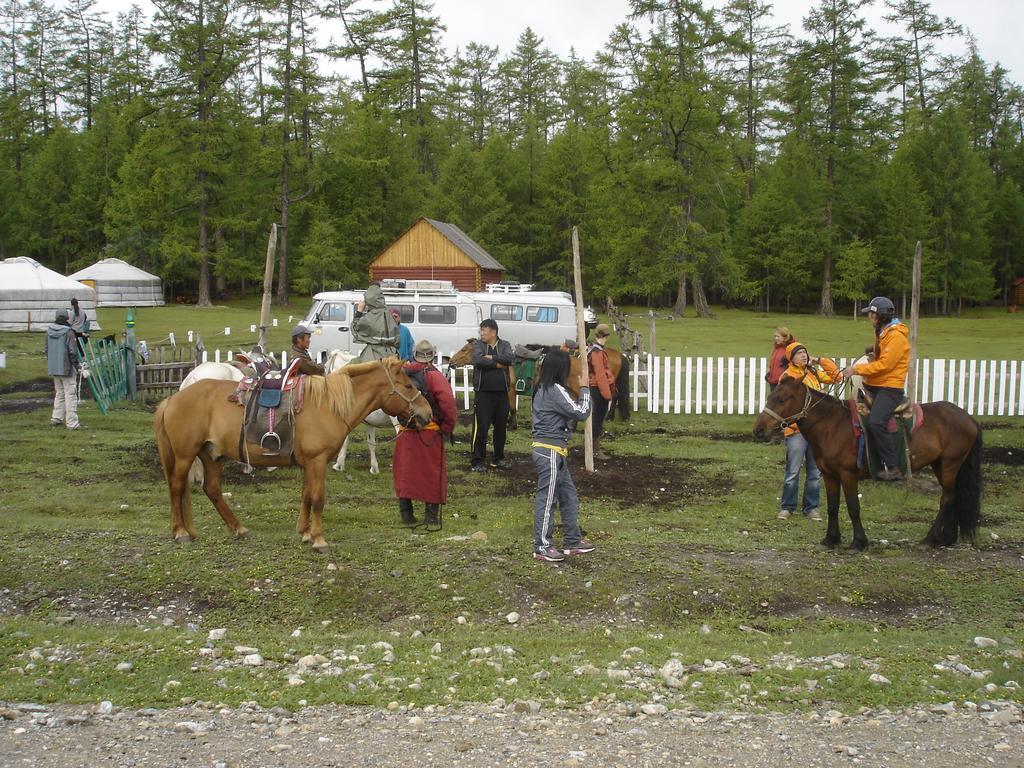Sunpath Mongolia Tour & Hostel Ulaanbaatar Værelse billede
