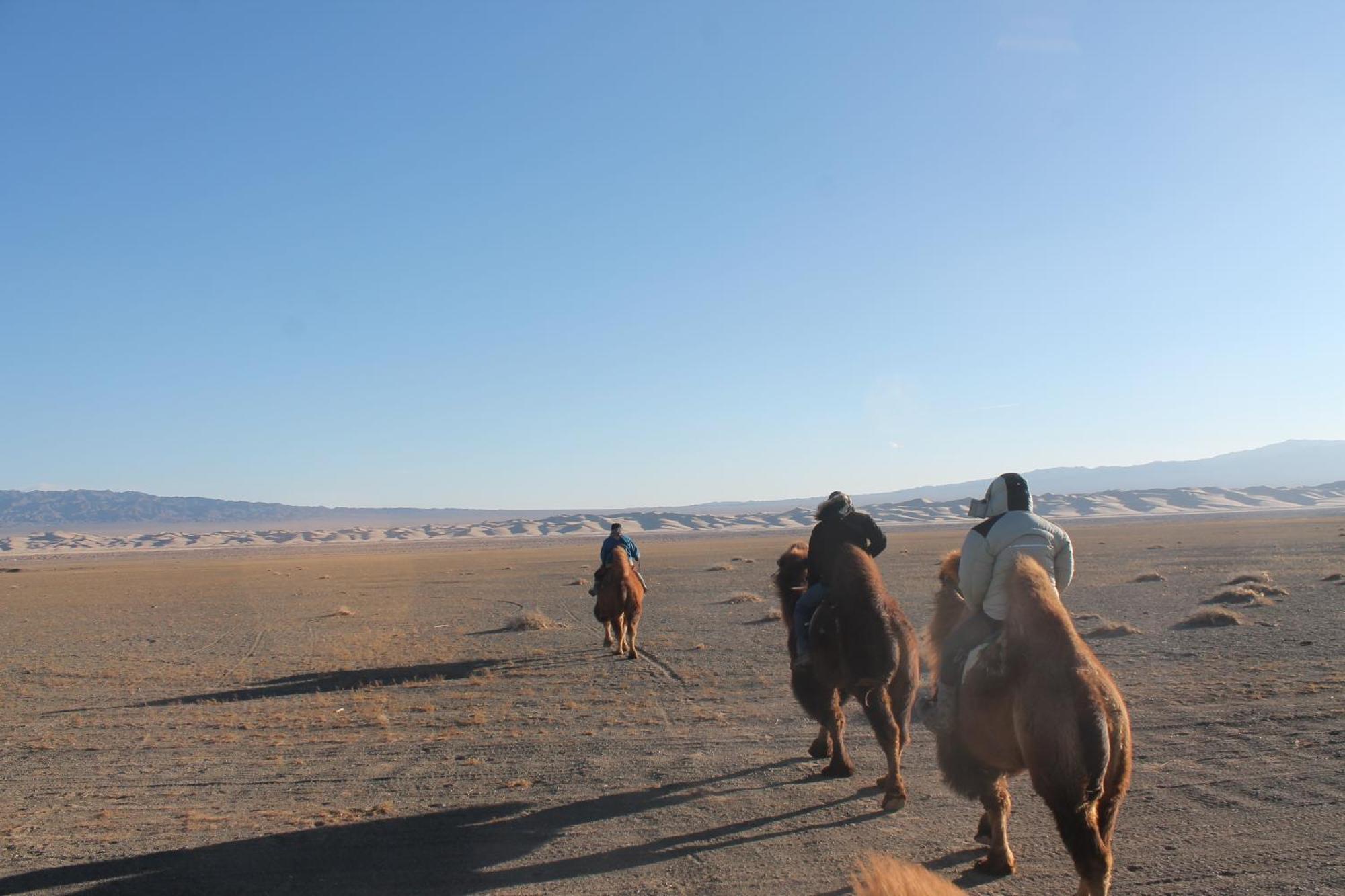 Sunpath Mongolia Tour & Hostel Ulaanbaatar Eksteriør billede